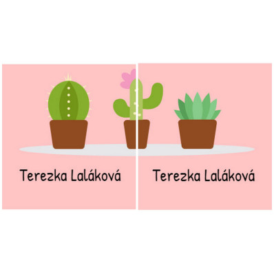 *Kaktus* Samolepky na boty