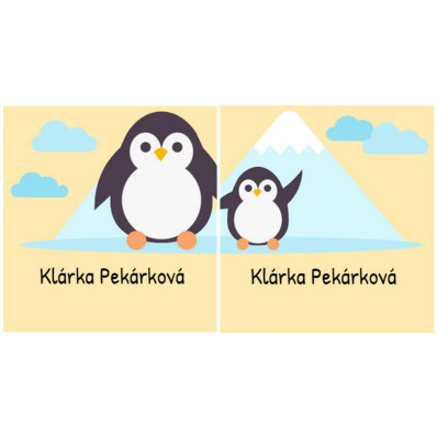 *Tučňák* Samolepky na boty