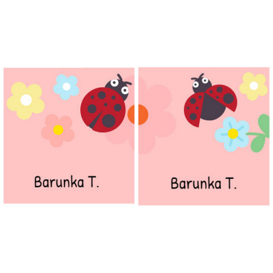 *Beruška* Samolepky na boty