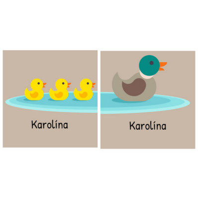 Kachničky_ Samolepky na oblečení, nažehlovačky nejen pro děti