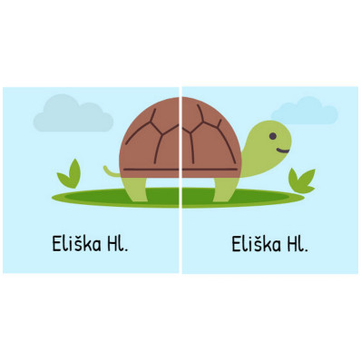 Želva_ Nalepovací samolepky na boty