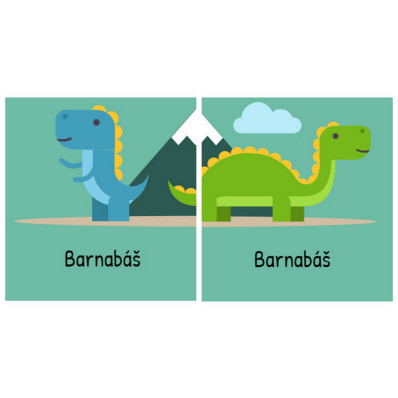 *Dinosaurus* Samolepky na boty