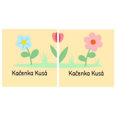 *Květina* Samolepky na boty